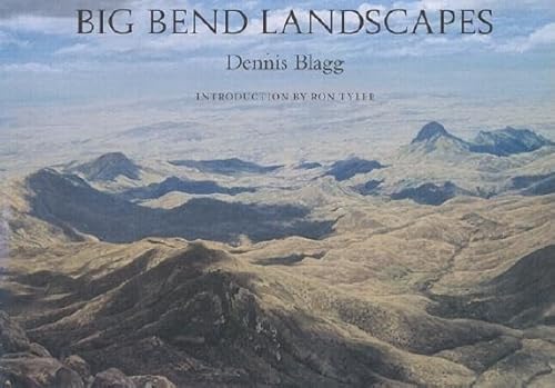 Beispielbild fr Big Bend Landscapes (Volume 12) (Joe and Betty Moore Texas Art Series) zum Verkauf von Books of the Smoky Mountains