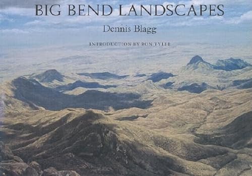 Stock image for Big Bend Landscapes (Volume 12) (Joe and Betty Moore Texas Art Series) for sale by Books of the Smoky Mountains