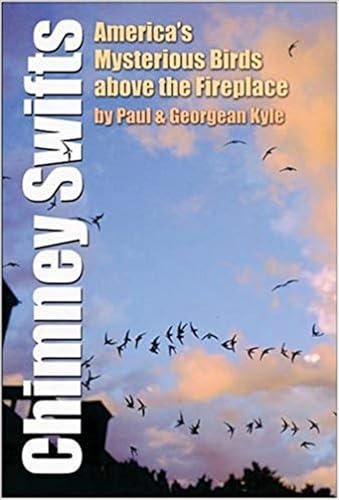 Stock image for Chimney Swifts: America's Mysterious Birds above the Fireplace (Volume 37) (Louise Lindsey Merrick Natural Environment Series) for sale by Ergodebooks