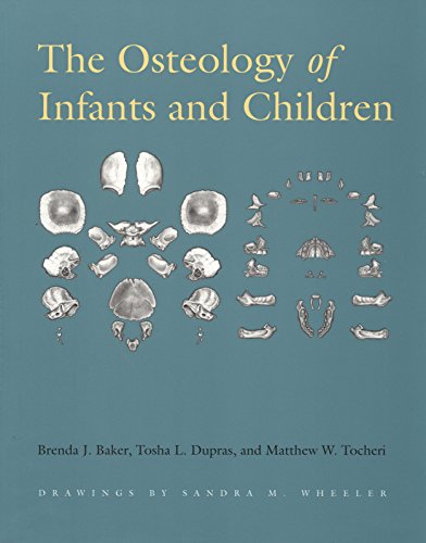 9781585444656: The Osteology of Infants and Children: 12 (Texas a & M University Anthropology Series)