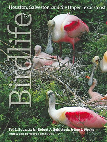 Stock image for Birdlife of Houston, Galveston, and the Upper Texas Coast for sale by Mahler Books
