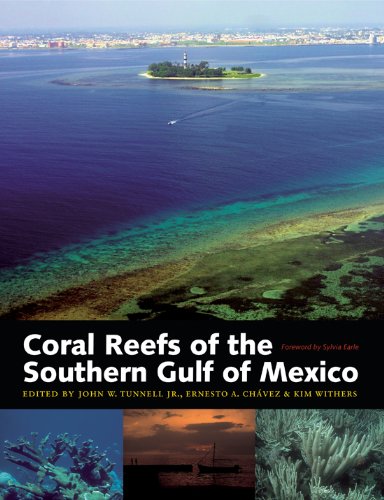 Beispielbild fr Coral Reefs of the Southern Gulf of Mexico (Harte Research Institute for Gulf of Mexico Studies) zum Verkauf von HPB-Diamond