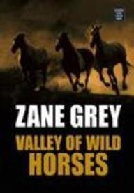 9781585478484: Valley of Wild Horses (Western Series)