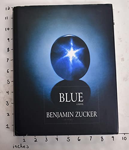 Blue. A Novel.