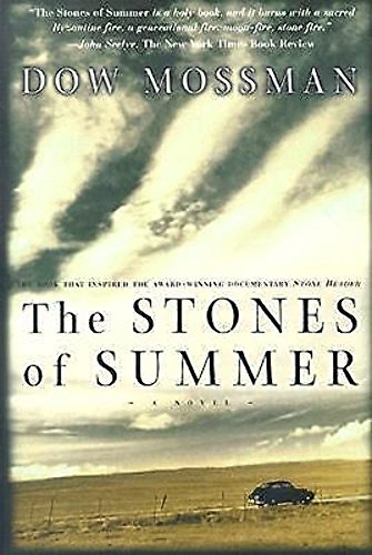 9781585675173: The Stones of Summer