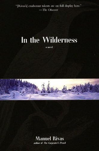 Imagen de archivo de In the Wilderness a la venta por Bookmarc's