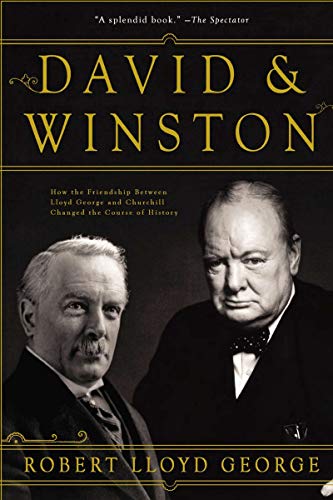 Imagen de archivo de David & Winston: How the Friendship Between Lloyd George and Churchill Changed the Course of History a la venta por SecondSale
