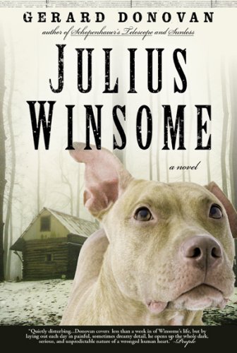 Stock image for Julius Winsome: A Novel for sale by SecondSale