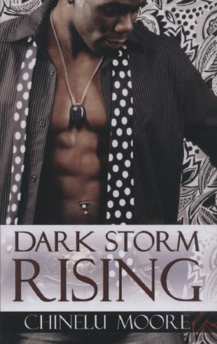 9781585713127: Dark Storm Rising