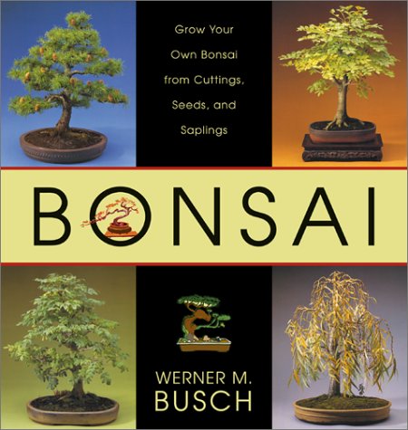 Stock image for Bonsai: Grow Your Own Bonsai from Cuttings, Seeds, and Saplings for sale by St Vincent de Paul of Lane County