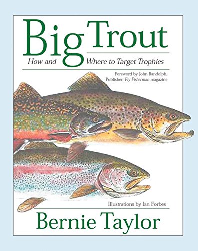 Imagen de archivo de Big Trout: How and Where to Target Trophies a la venta por Idaho Youth Ranch Books