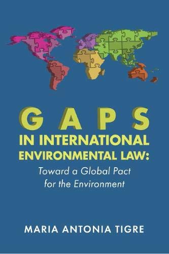 Beispielbild fr Gaps in International Environmental Law zum Verkauf von Blackwell's