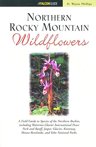 Stock image for Northern Rocky Mountain Wildflowers for sale by Idaho Youth Ranch Books