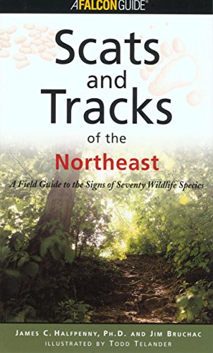 Beispielbild fr Scats and Tracks of the Northeast (Scats and Tracks Series) zum Verkauf von More Than Words