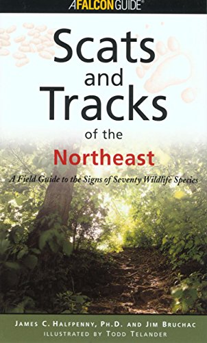 Stock image for Scats and Tracks of the Northeast (Scats and Tracks Series) for sale by SecondSale