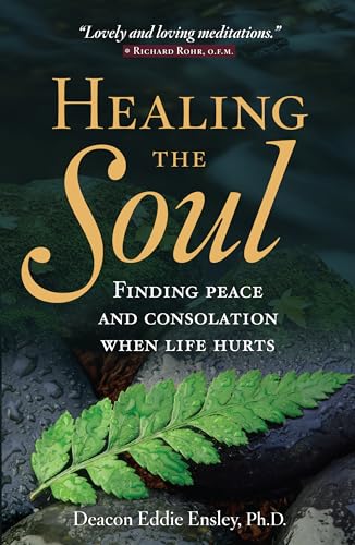 Beispielbild fr Healing the Soul: Finding Peace and Consolation When Life Hurts zum Verkauf von Goodwill