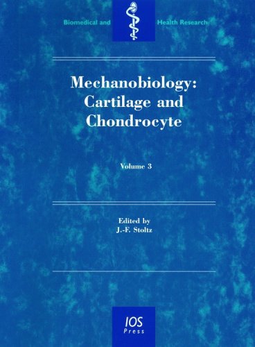 Mechanobiology: Cartilage And Chondrocyte