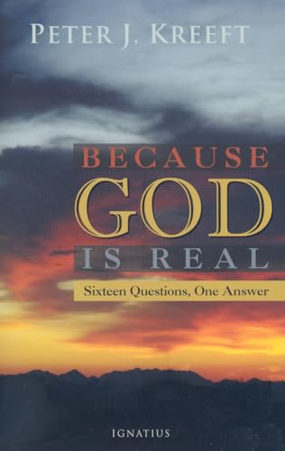 Beispielbild fr Because God is Real: Sixteen Questions, One Answer zum Verkauf von SecondSale