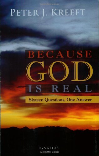 Imagen de archivo de Because God is Real: Sixteen Questions, One Answer a la venta por More Than Words