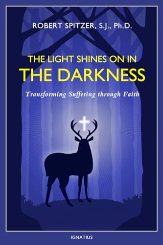 Stock image for The Light Shines on in the Darkness: Transforming Suffering through Faith (Happiness, Suffering, and Transcendence) (Volume 4) for sale by Goodwill of Colorado