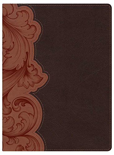 Beispielbild fr KJV Study Bible, Dark Umber/Sienna LeatherTouch zum Verkauf von beneton