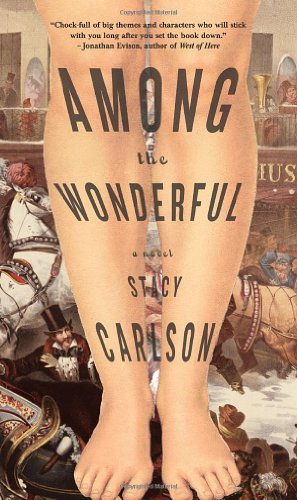 Imagen de archivo de Among the Wonderful : A Novel a la venta por Better World Books