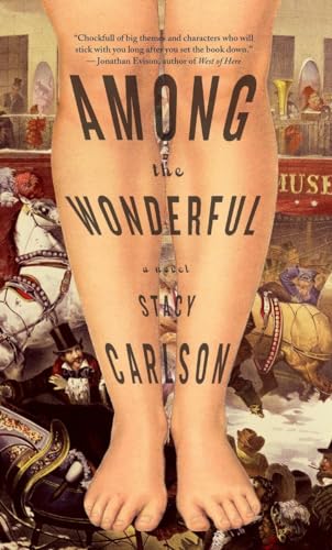 9781586422011: Among the Wonderful: A Novel