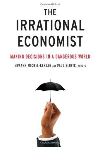 Stock image for The Irrational Economist: Making Decisions in a Dangerous World for sale by Gulf Coast Books