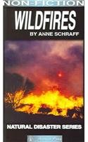 Wildfires (9781586592042) by Schraff, Anne E.