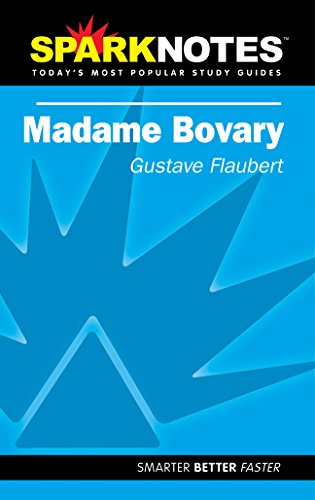 9781586634421: Spark Notes Madame Bovary