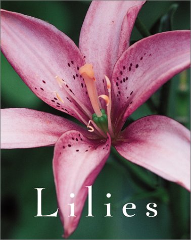 Stock image for Lilies for sale by More Than Words