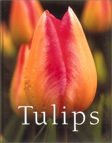 Stock image for Tulips for sale by Half Price Books Inc.
