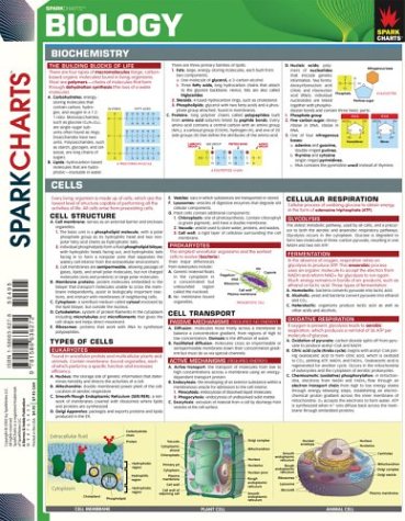Imagen de archivo de Spark Charts Biology a la venta por BookHolders