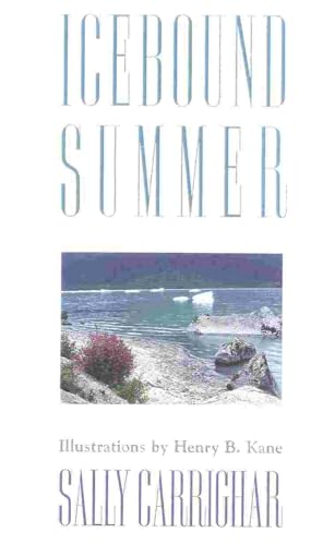 9781586670108: Icebound Summer