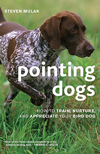 Beispielbild fr Pointing Dogs: How to Train, Nurture, and Appreciate Your Bird Dog zum Verkauf von BooksRun