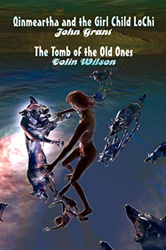 Stock image for Qinmeartha and the Girl Child Lochi: The Tomb of the Old Ones for sale by Lucky's Textbooks