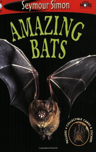 9781587172625: Amazing Bats: See More Readers Level 1