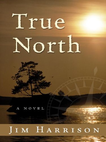 9781587247361: True North (Wheeler Large Print Book Series)