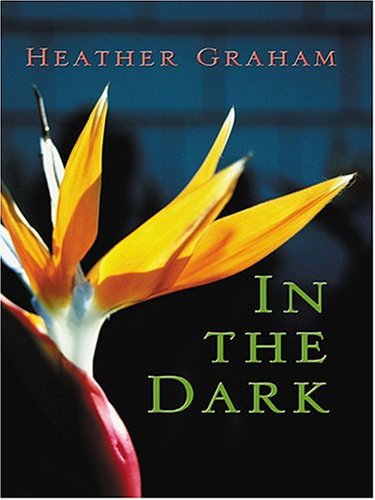 9781587248146: In The Dark (Wheeler Large Print Book Series)