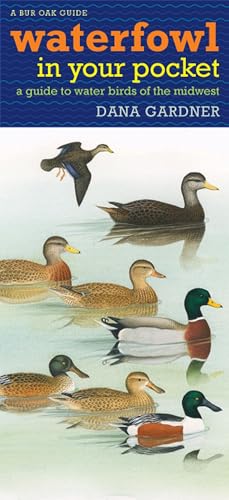 9781587296833: Waterfowl in Your Pocket: A Guide to Water Birds of the Midwest (Bur Oak Guide)