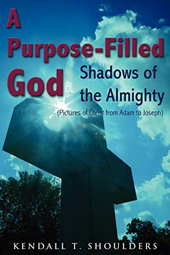 Stock image for A Purpose-Filled God: Shadows of the Almighty for sale by ZBK Books