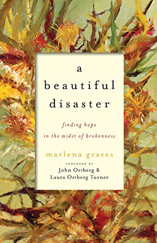Stock image for A Beautiful Disaster: Finding Hope in the Midst of Brokenness for sale by Your Online Bookstore