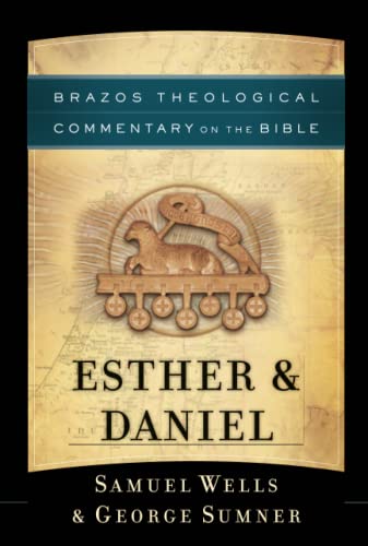 Stock image for Esther & Daniel: (A Theological Bible Commentary from Leading Contemporary Theologians - BTC) (Brazos Theological Commentary on the Bible) for sale by GF Books, Inc.