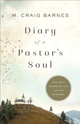 Stock image for Diary of a Pastor's Soul: The Holy Moments in a Life of Ministry for sale by Indiana Book Company