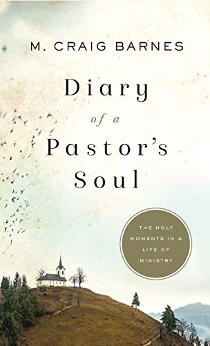 Beispielbild fr Diary of a Pastor's Soul zum Verkauf von Russell Books