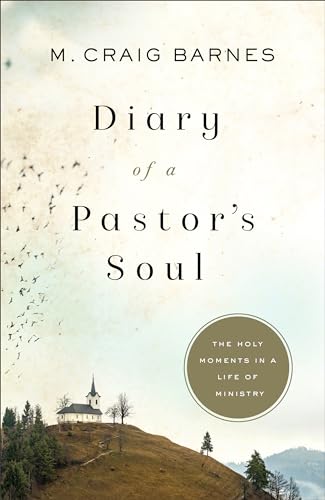 Stock image for Diary of a Pastor's Soul for sale by Russell Books