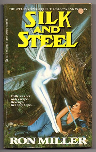 9781587520662: Bronwyn: Silk & Steel (Bronwyn, 1)