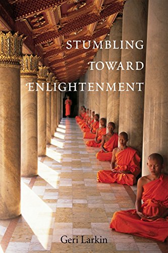 9781587613296: Stumbling Toward Enlightenment