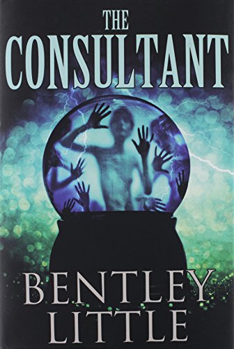 9781587675010: The Consultant