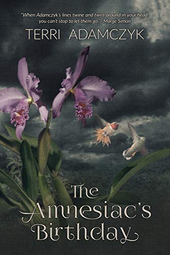 Imagen de archivo de The Amnesiacs Birthday a la venta por BooksRun